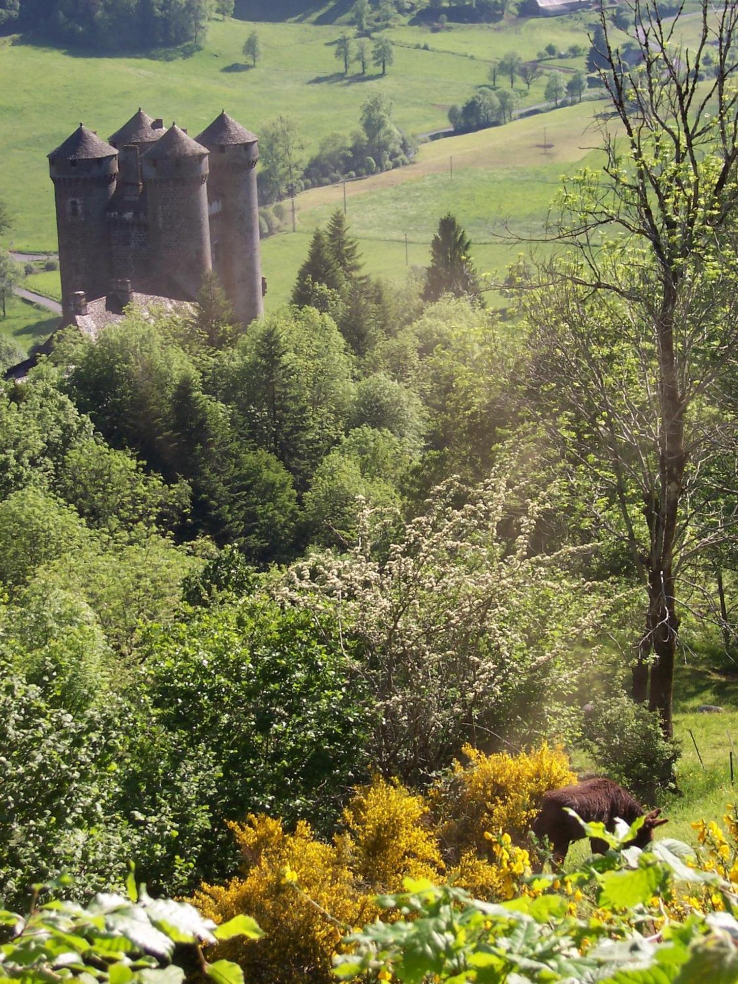 Auberge Hotel De Tournemire - Cantal Eksteriør billede